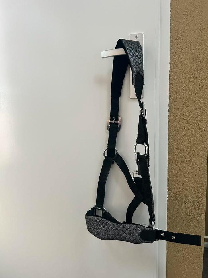 Epplejeck halster, Dieren en Toebehoren, Paarden en Pony's | Hoofdstellen en Tuigage, Nieuw, Overige soorten, Ophalen of Verzenden