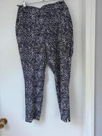 Daily Sports golfbroek maat 38, Sport en Fitness, Golf, Ophalen of Verzenden, Zo goed als nieuw, Kleding, Overige merken