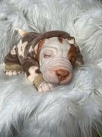 Reborn pup, Verzamelen, Poppen, Ophalen of Verzenden, Pop