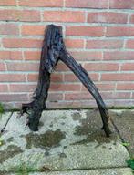 Aquariumhout kienhout XXL, Ophalen of Verzenden, Zo goed als nieuw, Plant(en), Steen of Hout