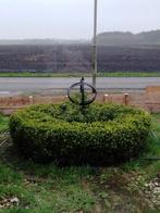 Gratis buxus cirkel en roos ophalen in Erica, Buxus, Ophalen