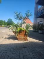 mijnkar als planten/bloemenbak, Ophalen, Overige materialen, Gebruikt, 60 cm of meer