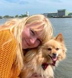 Oppas voor kleine hondjes Rotterdam - ook overnachtingen