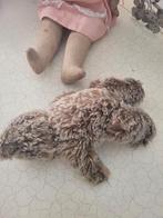 Oud beertje met open mond glazen ogen, Verzamelen, Overige merken, Heikant 21 Kaatsheuvel, Stoffen beer, Belle Vieille Brocante