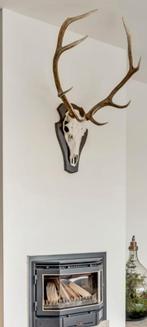 Edelhert gewei op schild, Ophalen, Zo goed als nieuw, Hert, Gewei of Kop