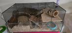 Hamsterkooi glas, Dieren en Toebehoren, Knaagdieren en Konijnen | Hokken en Kooien, Minder dan 60 cm, Kooi, Ophalen of Verzenden