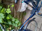 wheeler 2700, Fietsen en Brommers, Fietsen | Dames | Sportfietsen en Toerfietsen, Ophalen of Verzenden, Gebruikt, Minder dan 10 versnellingen