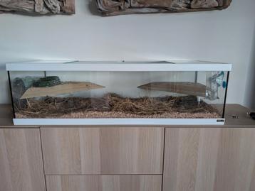 Prachtig glazen verblijf aquarium terrarium beschikbaar voor biedingen
