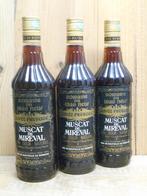 3x MUSCAT DE MIREVAL, heel zoete likeurwijn, Verzenden, Nieuw, Frankrijk, Witte wijn