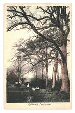 900824	Gelderland	Poststempel Apeldoorn	1926	Gelopen met pos, Ophalen of Verzenden, 1920 tot 1940, Gelopen, Gelderland