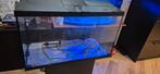 Aquarium met pomp, licht, verwarming en meubel, Dieren en Toebehoren, Vissen | Aquaria en Toebehoren, Ophalen, Leeg aquarium