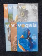 7x VOGELS tijdschrift - Nederlandse Vogelbescherming, Boeken, Tijdschriften en Kranten, Verzenden, Nieuw, Wetenschap en Natuur