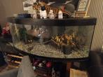 Jewel aquarium 150 cm, 450 liter, Ophalen of Verzenden