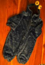 Koekiemonster carnavalspakje, Ophalen, Gebruikt, Jongen of Meisje