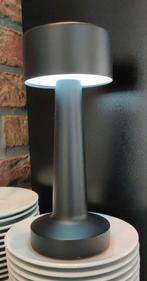 Lampje dimbaar op ledverlichting, Ophalen of Verzenden, Nieuw, Minder dan 50 cm