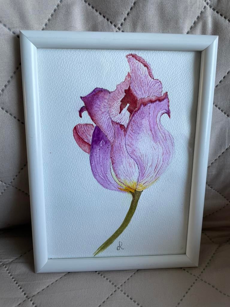 Tulp en Iris, Ophalen of Verzenden