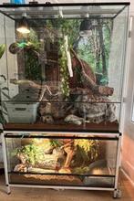 Terrarium  met slangen, Dieren en Toebehoren, Ophalen, Zo goed als nieuw, Terrarium of Paludarium
