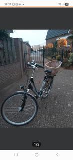 Fietsmand voor hond, Dieren en Toebehoren, Ophalen of Verzenden, Gebruikt, Riet