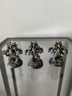 Warhammer 40k 40000 Space marine wolves primaris aggressors, Ophalen of Verzenden, Zo goed als nieuw, Figuurtje(s)