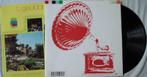 't Geuldal zingk, Cd's en Dvd's, Verzenden, Gebruikt, 12 inch