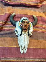 Indiaan op bizon., Ophalen