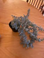 Kunstplant, Huis en Inrichting, Ophalen of Verzenden, Zo goed als nieuw