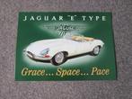 JAGUAR E TYPE BLIKKEN RECLAMEBORD, Verzamelen, Merken en Reclamevoorwerpen, Ophalen, Zo goed als nieuw, Reclamebord