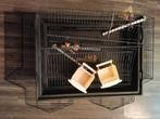 Vogelkooitje, Ophalen, Zo goed als nieuw, Kunststof
