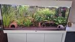 Compleet aquarium juwel rio 180, Dieren en Toebehoren, Ophalen, Zo goed als nieuw, Gevuld zoetwateraquarium