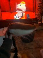 Furry/Therian Staarten, Verzenden, Zo goed als nieuw, Accessoires