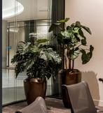 Grote exclusieve plantenpot - Showroom model, Ophalen, 40 cm of meer, Rond, Binnen