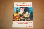 De citroensapkuur - K.A. Beyer, Boeken, Gelezen, Ophalen of Verzenden