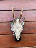 Gedecoreerde reebok schedel/ gewei met edelstenen en bloemen, Ophalen of Verzenden, Zo goed als nieuw