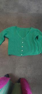 Groen vestje, Maat 38/40 (M), Made in Italy, Ophalen of Verzenden, Zo goed als nieuw