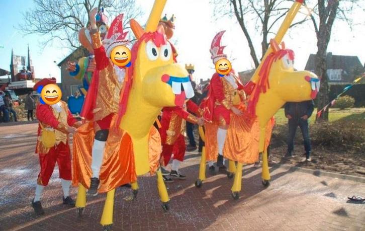 Kleurrijke loopgroep met paarden, Kleding | Dames, Carnavalskleding en Feestkleding, Zo goed als nieuw, Kleding, Carnaval, Maat 46/48 (XL) of groter