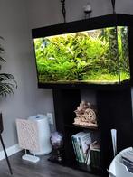 Aquarium rio 125, Dieren en Toebehoren, Ophalen, Gebruikt, Gevuld zoetwateraquarium