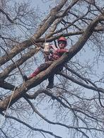 Boomverzorger / european treeworker, Garantie, Tuinonderhoud of Snoeiwerk