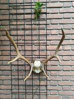 Geweitje - Decoratie voor aan de muur, Ophalen, Gebruikt