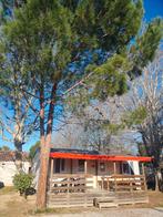 Leuk chalet te huur (6 pers), Ophalen of Verzenden