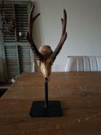 Schedeltje op statief - Landelijke decoratie, Huis en Inrichting, Ophalen, Zo goed als nieuw