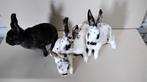 JONGE DWERG REXJES TE KOOP., Dieren en Toebehoren, Konijnen, Meerdere dieren, Dwerg, 0 tot 2 jaar