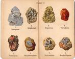Mineralen Atlas Zakboekjes  Natuurvrienden steendruk 1920, Verzenden, Gebruikt