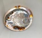Abalone schelp ( Zeeoor), Verzamelen, Mineralen en Fossielen, Ophalen of Verzenden, Schelp(en)