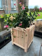 Douglas houten bloembakken, bloembakpilaren, plantenbakken, Tuin en Terras, Ophalen, Tuin, Vierkant, Nieuw