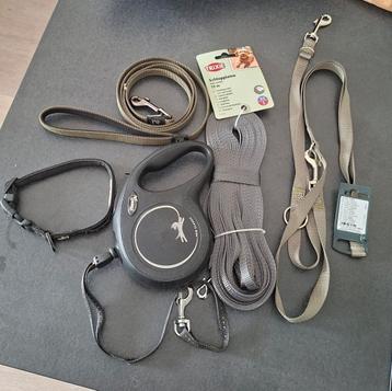 Puppy rollijn, kong, borstel, halsband en riemen beschikbaar voor biedingen