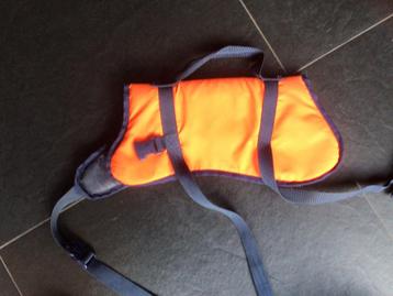 Zwemvest hond beschikbaar voor biedingen