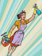 Schoonmaakster, Overige vormen