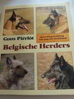 Pierlot - Belgische herders, Pierlot, Ophalen of Verzenden, Zo goed als nieuw, Paarden of Pony's