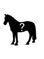 Bijzondere Schleich paardenmysterybox⁉️, Verzenden, Zo goed als nieuw