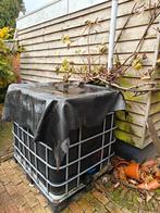 IBC Bak Zwart met deksel - Dompelbad, IJsbad, Vissen bak, Kunststof, Gebruikt, Met kraantje, 150 liter of meer